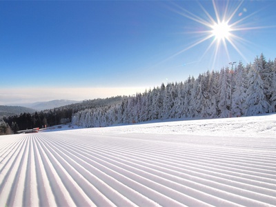 piste_frisch_detail.jpg