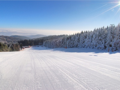 piste_frisch_ueberblick.jpg