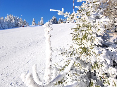 piste_senkrecht.JPG